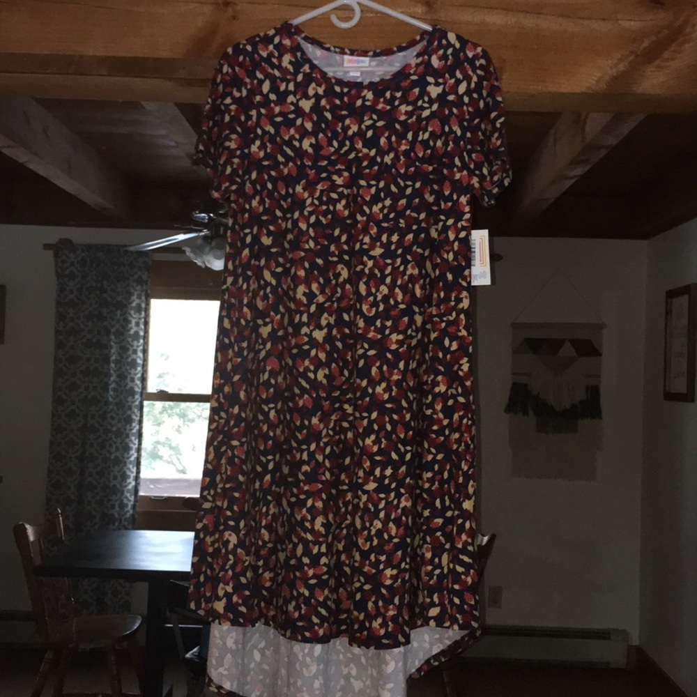 LuLaroe Carly dress